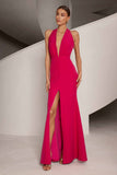Danielle Dress Fuchsia Pink - Elle Zeitoune