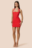 Belleza Mini Dress Cherry - Nookie
