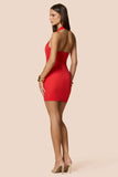 Belleza Mini Dress Cherry - Nookie