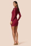 Amore Mesh Mini Dress Ruby - Nookie