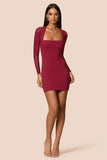 Amore Mesh Mini Dress Ruby - Nookie