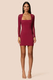 Amore Mesh Mini Dress Ruby - Nookie