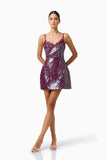 Verdita Sequin Mini Dress - Curaae
