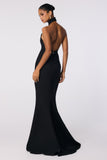Palais Halter Gown - Nookie