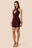 Harmony Mini Dress wine - Nookie