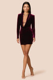 Nina Long Sleeve Mini Mulberry  - Nookie
