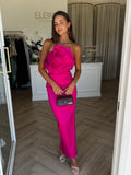 Miles Dress Rasberry - Elle Zeitoune
